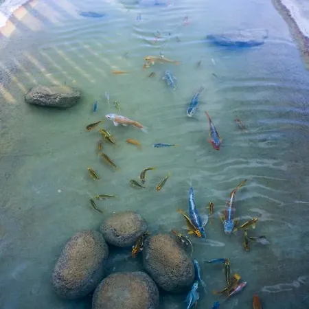 普拉萨海滩酒店 3* Pláka